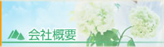 main_title