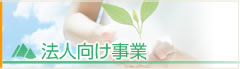 main_title
