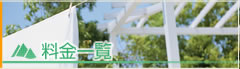 main_title